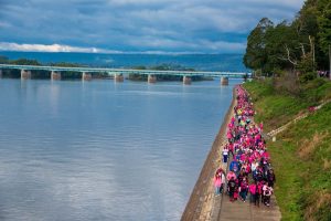 Making Strides Walk 1